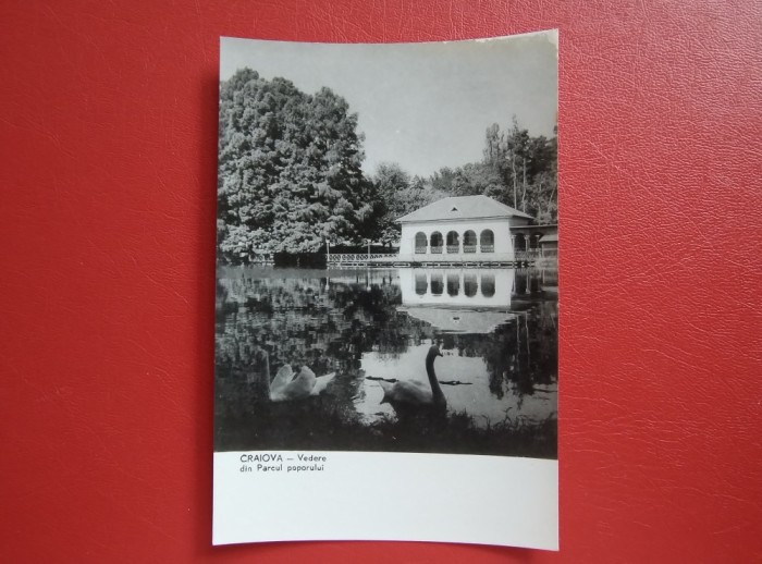 CARTE POSTALA - RPR - CRAIOVA - VEDERE DIN PARCUL POPORULUI