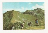 CA6 Carte Postala - Vedere din muntii Fagaras , circulata 1965