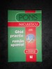 Ghid Practic Roman-Spaniol Rosina Mogales - Curs Limba Spaniola, Editura Niculescu 2007