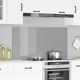 Contrablat Bucatarie Gri Deschis 120x60cm Sticla Securizata vidaXL Protectie Perete Bucatarie