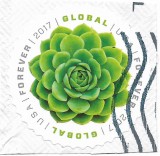 S.U.A. (3) - Green Succulent, 2017 - obliterat
