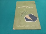 Cultura Sfeclei de Zahăr, Editura Agro-Silvica, 1961, 28 Pagini, Carte Tehnică