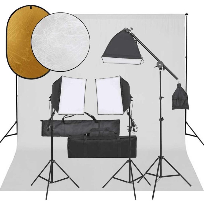 vidaXL Set studio foto cu set de lumini, fundal și reflector 3094690
