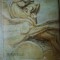 BOURDELLE de ADINA NANU , Bucuresti 1971