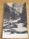 QW25 M - Carte postala - tematica turism - vedere - Muntii Fagarasului 4 - 1960