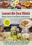 Cumpara ieftin Leacuri Din Tara Sfanta. Plante, Fructe Si Mirodenii Vindecatoare, Mariana Borloveanu - Editura Sophia