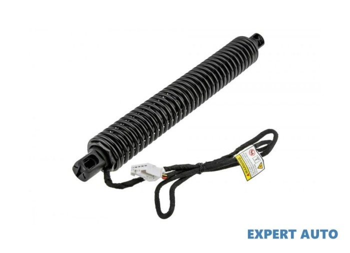 Telescop hayon BMW X6 (2008->) [E71, E72] #1