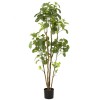 Emerald Arbore artificial Polyscias &icirc;n ghiveci, 160 cm
