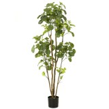 Emerald Arbore artificial Polyscias &icirc;n ghiveci, 160 cm GartenMobel Dekor, vidaXL