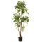 Emerald Arbore artificial Polyscias &icirc;n ghiveci, 160 cm