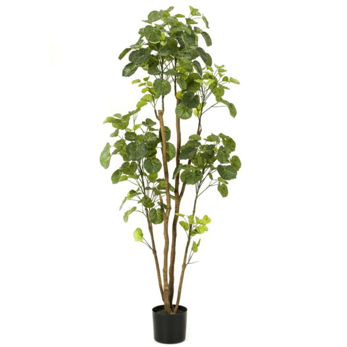 Emerald Arbore artificial Polyscias &icirc;n ghiveci, 160 cm GartenMobel Dekor