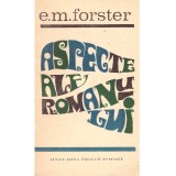 Edward Morgan Forster - Aspecte ale romanului - 102301