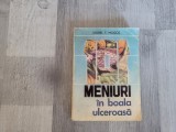 Meniuri in boala ulceroasa de Viorel T.Mogos