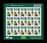 BRAZILIA 2018 FAUNA DOMESTICA BOVINE VACCINAREA IMPOTRIVA FEBREI TIFOIDE