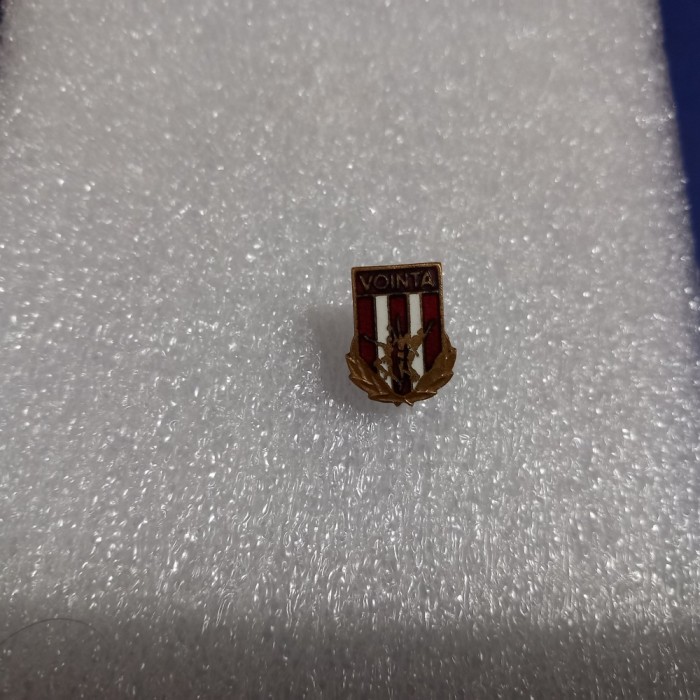 Insigna Vointa