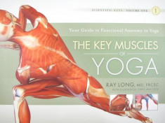 The Key Muscles of Yoga foto