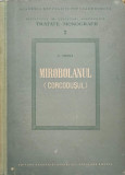 MIROBOLANUL (CORCODUSUL)-V. SONEA