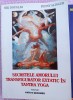(C520) NIK DOUGLAS SI PENNY SLINGER - SECRETELE AMORULUI TRANSFIGURATOR EXTATIC IN TANTRA YOGA - VOL 1