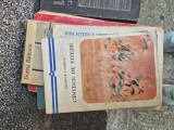 C&acirc;ntece de vitejie vintage
