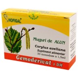 Muguri alun 30 monodz HOFIGAL