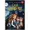 Casa Winterborne. Razbunare si curaj, Ally Carter