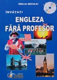 Invatati engleza fara profesor, curs practic (fara CD) (AM159)