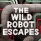 The Wild Robot Escapes