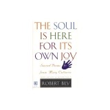 Soul Is Here for It's Own Joy