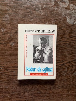 Constantin Nisipeanu Paduri de oglinzi foto