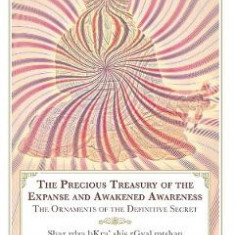 The Precious Treasury of the Expanse and Awakened Awareness: The Ornaments of the Definitive Secret