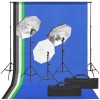 VidaXL Kit studio foto cu set de lumină și fundal 3094730