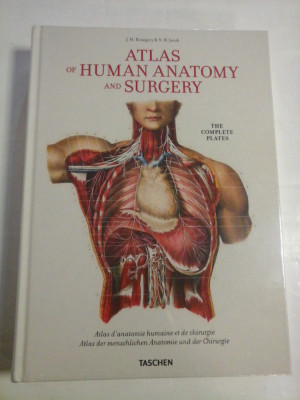 ATLAS OF HUMAN ANATOMY AND SURGERY The complete plates - J. M. Bourgery &amp;amp; N. H. Jacob foto