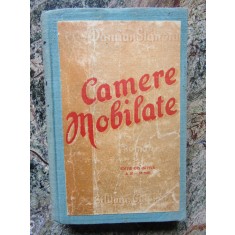CAMERE MOBILATE-DAMIAN STANOIU
