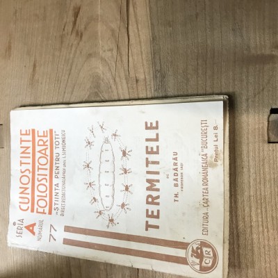 B. Cunostinte folositoare , Termitele foto