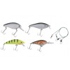 SET VOBLERE GOLDSTAR UNIVERSAL (4 VOBLERE, 2 STRUNE+CUTIE)