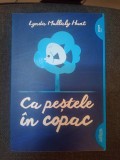 Lynda Mullaly Hunt: Ca peştele &icirc;n copac