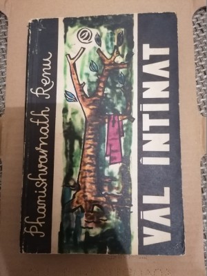 PHANISHVARNATH RENU - VAL INTINAT foto