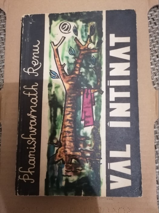 PHANISHVARNATH RENU - VAL INTINAT
