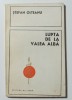Ștefan Olteanu - Lupta de la Valea Albă (1476)