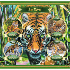 MADAGASCAR 2022 - Fauna, Tigri/ set complet colita + bloc