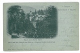4341 - SINAIA, Peles Castle, Litho, Romania - old postcard - used - 1901, Circulata, Printata