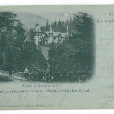 4341 - SINAIA, Peles Castle, Litho, Romania - old postcard - used - 1901