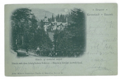 4341 - SINAIA, Peles Castle, Litho, Romania - old postcard - used - 1901 foto