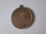 Rara! Danemarca medalia pentru gimnastica a orasului Herning 1892, Europa
