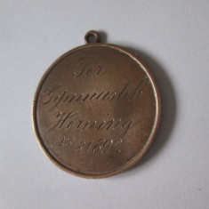 Rara! Danemarca medalia pentru gimnastica a orasului Herning 1892