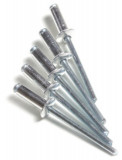 Set 500 nituri 5 x 14 mm pentru pistoale pop nit Top Strong
