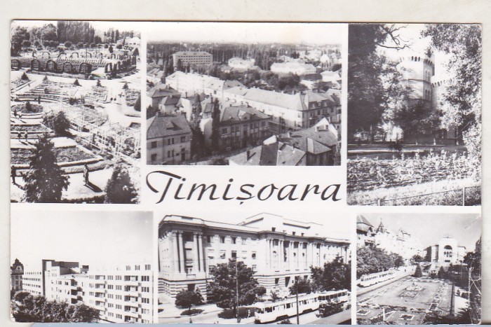 bnk cp Timisoara - Vedere - circulata