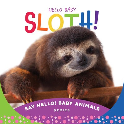Hello Baby Sloth! foto