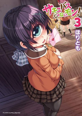 I&#039;m Not a Succubus! Vol. 3