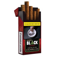 Tigari de foi DJARUM Garnet Filter 17g (10)